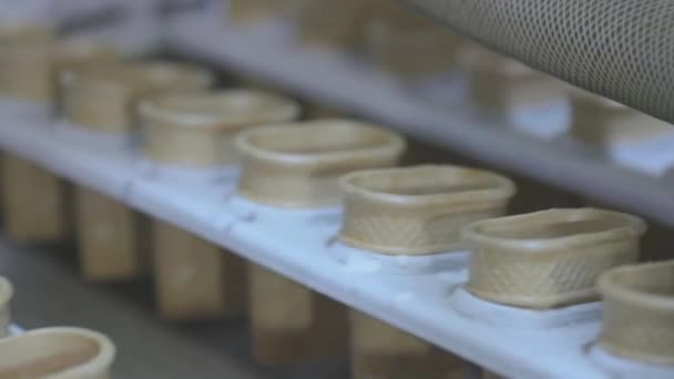 Automatisierte Produktion von Speiseeis. Eiscremeproduktion. Eisdielen — Stockvideo
