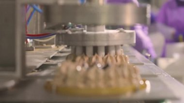 Otomatik dondurma üretimi. Dondurmalı pasta yapmak için otomatik taşıyıcı. Dondurma tüplerden güzelce çıkarılmış.