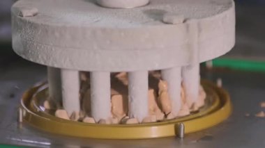Otomatik dondurma üretimi. Dondurmalı pasta yapmak için otomatik taşıyıcı. Dondurma tüplerden güzelce çıkarılmış.