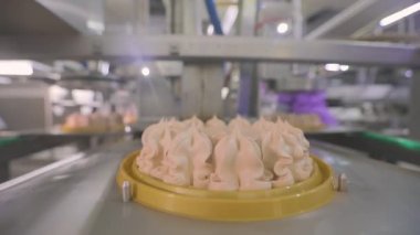 Otomatik dondurma üretimi. Dondurmalı pasta yapmak için otomatik taşıyıcı. Dondurma tüplerden güzelce çıkarılmış.