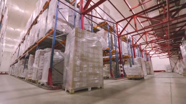Large modern warehouse with goods without people. The camera moves through the factory warehouse. Modern warehouse, industrial interior — Video