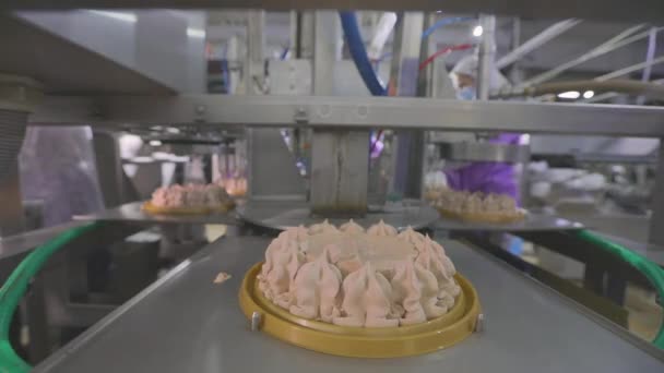케이크의 대량 자동 생산. 아이스크림 케익만드는 거요. 컨베이어 벨트에 놓인 케이크. 식량 생산 — 비디오