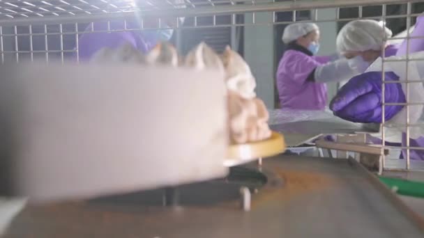Große automatisierte Kuchenproduktion. Einen Eiskuchen zubereiten. Kuchen auf einem Förderband. Nahrungsmittelproduktion — Stockvideo