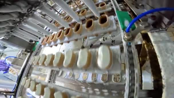 Linha de produção de sorvete. Um transportador moderno para a produção de sorvete. Processo de produção de gelados — Vídeo de Stock