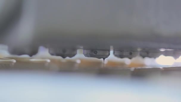 Ice cream production. Production of ice cream on an automated conveyor. — Stock Video