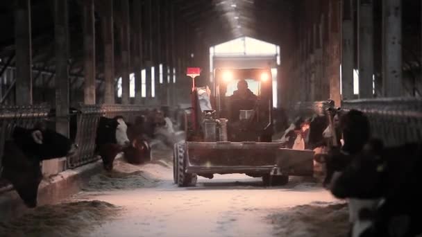 Schoonmaakmiddelen. bar schoonmaken. Gespecialiseerde landbouwmachines. Grote moderne boerderij. Reinigingsproces — Stockvideo