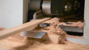 Mobilya fabrikasında otomatikleştirilmiş üretim hattı. Mobilya üretim süreci. Mobilya fabrikasında otomatik taşıma bandı.