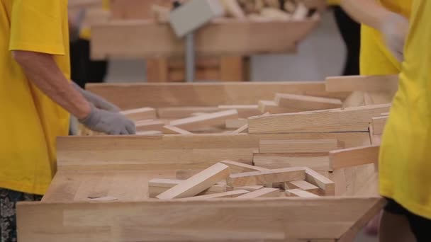 Egy Bútorgyár Szállítószalagján Dolgozó Munkások Munkások Faházakat Válogatnak Egy Bútorgyárban — Stock videók