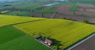 Avrupa tarımı, bakımlı tarlalar, renkli çiftçi tarlaları.