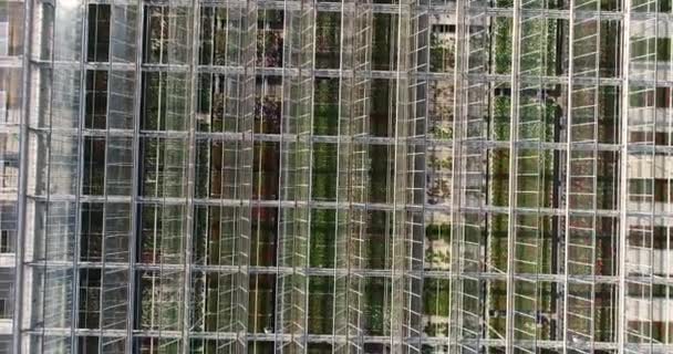 Egy Nagy Üvegház Felett Repül Virágokkal Egy Üvegház Behúzható Tetővel — Stock videók