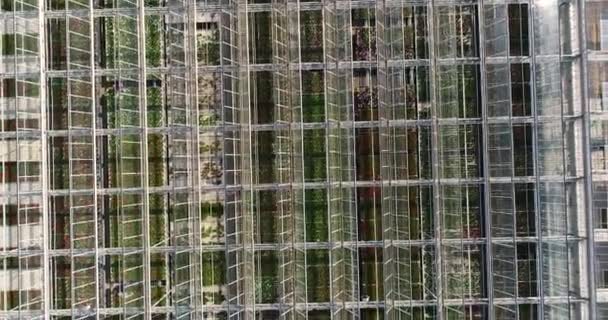 Flying Large Greenhouse Flowers Greenhouse Retractable Roof Greenhouse View Growing — Stock Video