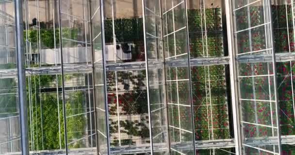 飞过一个有花的大温室 一个有可伸缩屋顶的温室 一个从上面看到的温室 种着花 — 图库视频影像