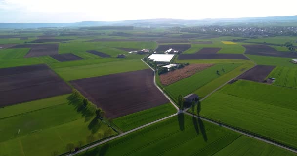 Agricoltura Agricoltura Europea Campi Curati Vista Dall Alto Campi Colorati — Video Stock