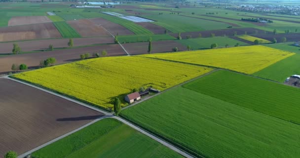 Europeiskt Jordbruk Välpreparerade Åkrar Färgglada Åkrar För Jordbrukare — Stockvideo