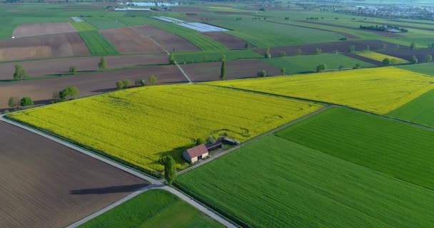 Agricoltura Europea Campi Ben Curati Campi Colorati Agricoltori — Video Stock