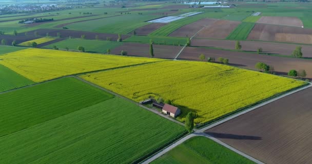 Europese Landbouw Goed Verzorgde Akkers Kleurrijke Akkers Van Boeren — Stockvideo