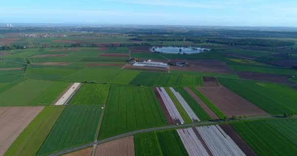 Europese Landbouw Goed Verzorgde Akkers Bovenaanzicht Kleurrijke Akkers Van Boeren — Stockvideo