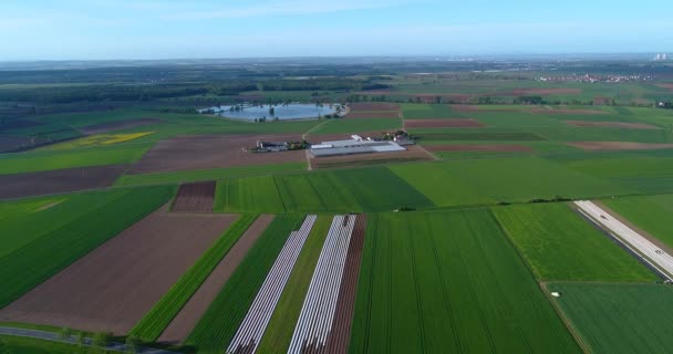 Agricoltura Europea Campi Ben Curati Vista Dall Alto Campi Colorati — Video Stock
