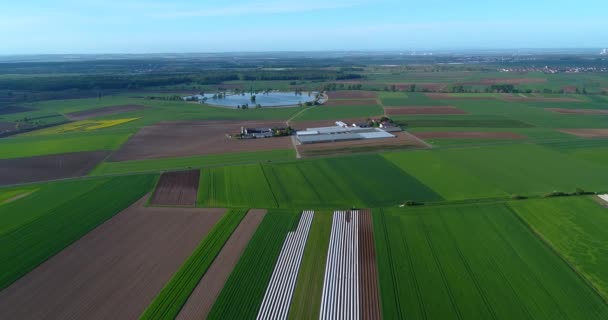 ヨーロッパの農業 手入れの行き届いた畑 トップビュー 農家のカラフルなフィールド — ストック動画
