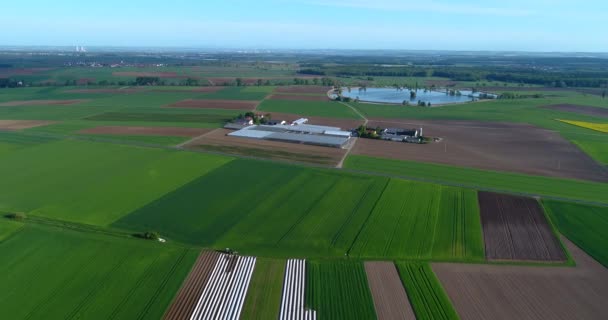 ヨーロッパの農業 手入れの行き届いた畑 トップビュー 農家のカラフルなフィールド — ストック動画