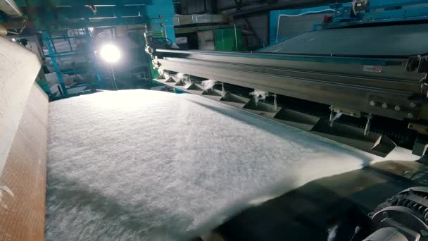 Producción Materiales Distintos Caña Cerca Fábrica Para Producción Invernaderos Sintéticos — Vídeos de Stock