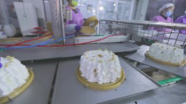 Kek konveyör çizgisinde. Pasta üretimi. Modern bir fabrikada kek üretimi. Otomatik pasta oluşturma süreci.