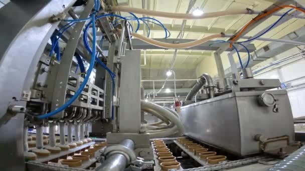 Moderno Trasportatore Produzione Gelato Linea Produzione Gelato Processo Produzione Del — Video Stock