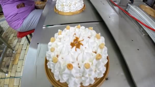컨베이어 라인에서 케이크를 만드는 컨베이어 라인에 케이크 — 비디오