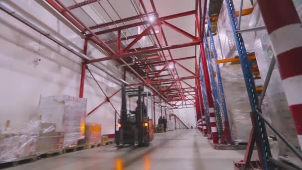 Forklift Driving Warehouse Factory Modern Warehouse Large Warehouse Factory Warehouse — Vídeos de Stock