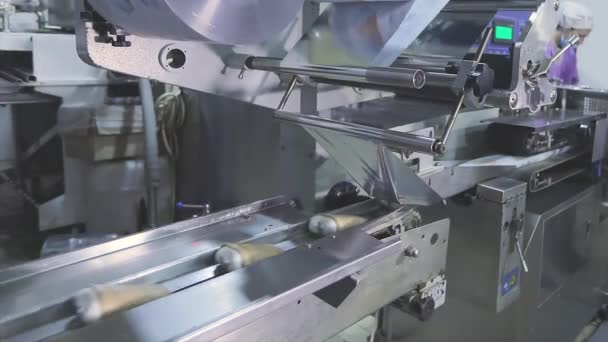 Виробництво Морозива Автоматизоване Виробництво Морозива Автоматизована Лінія Виробництва Морозива — стокове відео