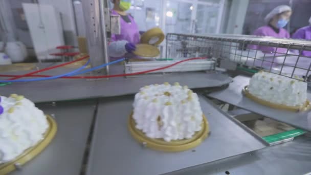 Torta Szállítószalagon Tortagyártás Sütemények Előállítása Egy Modern Gyárban Sütemények Automatikus — Stock videók