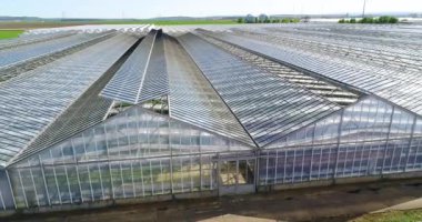 Çiçeklerle dolu büyük bir seranın üzerinde uçmak, geri çekilebilir çatılı bir sera, yukarıdan bir sera manzarası, büyüyen çiçekler.