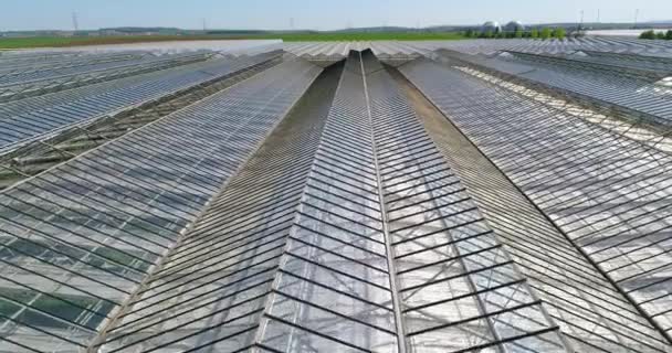 Volando Sobre Gran Invernadero Con Flores Invernadero Con Techo Retráctil — Vídeos de Stock