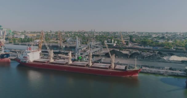 Cargo Ships Port Large Ships Cranes Seaport Panoramic View Air — Stock Video