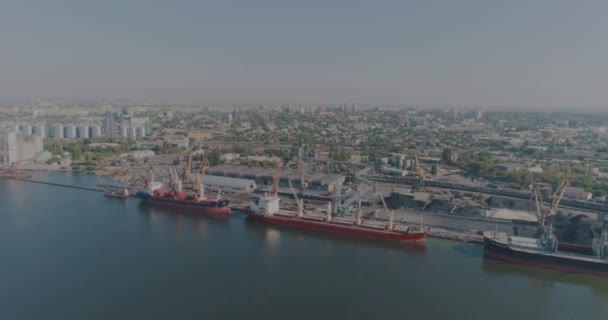 Frachtschiffe Hafen Große Schiffe Und Kräne Seehafen Blick Aus Der — Stockvideo