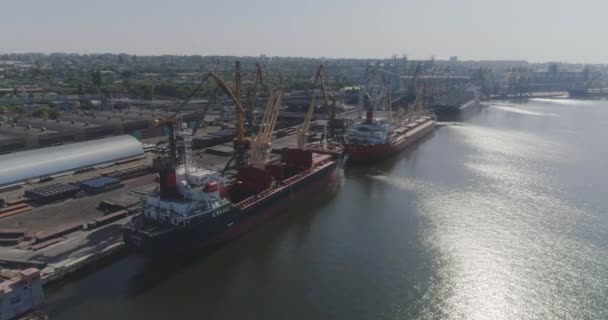 Der Allgemeine Plan Eines Großen Seehafens Flug Über Den Hafen — Stockvideo