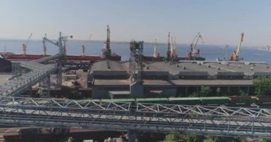 Limanda kazıyıcı taşıyıcılar, taşıyıcı ile tahıl taşımacılığı.