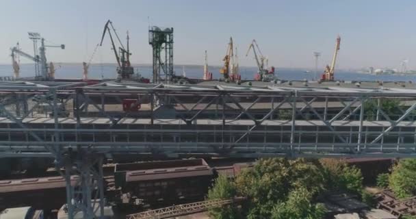 港口的刮板输送机 输送机运送谷物 — 图库视频影像