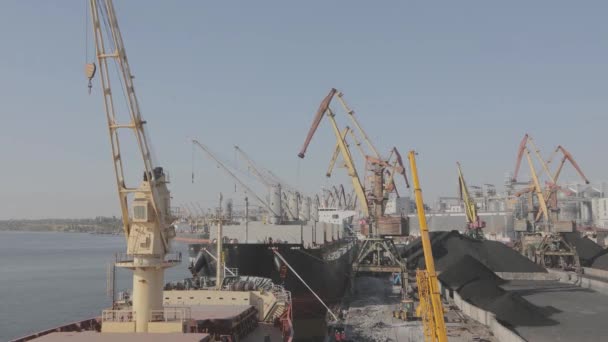 Unloading Coal Ship Cranes Time Lapse Ship Unloaded Cranes Port — Stockvideo