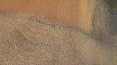 Kamyondan depoya yavaş çekimde buğday boşaltımı, depoya ağır çekimde buğday yüklemesi..