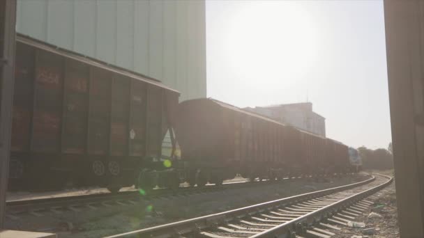 Nákladní Vlak Projíždí Továrnou Železniční Vozy Pohybují Továrně Nákladní Vlak — Stock video