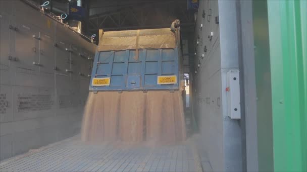 小麦从卡车卸下到仓库的慢动作框架 小麦在仓库的慢动作框架 — 图库视频影像
