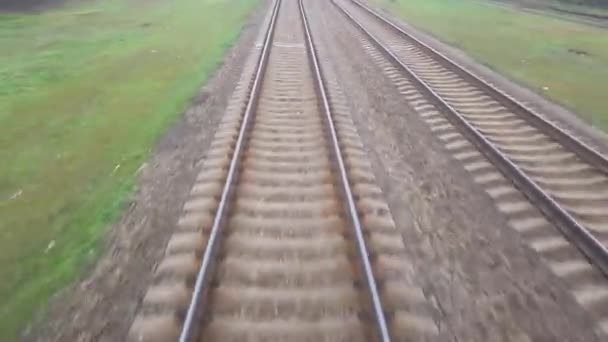 Vonat Mozgása Kilátás Utolsó Vasúti Kocsi Ablakán Keresztül Zöld Növényzet — Stock videók