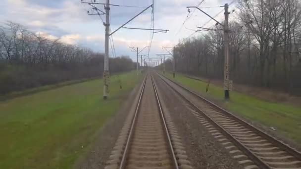 Trenin Hareketi Yeşil Bitki Örtüsünün Etrafındaki Son Vagonun Penceresinden Görünen — Stok video