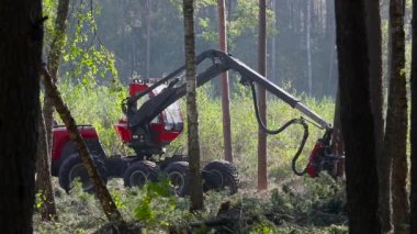 Orman kesme, kereste biçme, özel ekipmanla orman kesme.