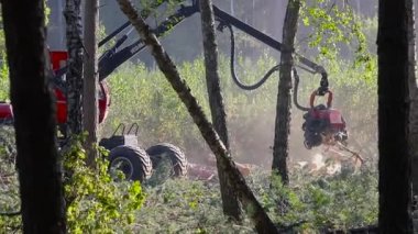 Orman kesme, kereste biçme, özel ekipmanla orman kesme.