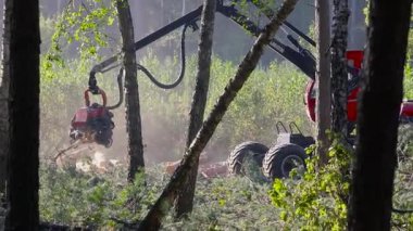 Orman kesme, kereste biçme, özel ekipmanla orman kesme.