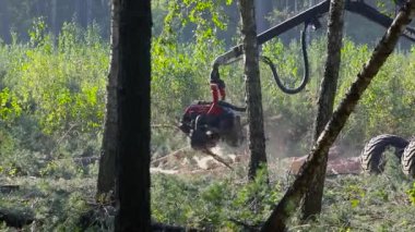 Orman kesme, kereste biçme, özel ekipmanla orman kesme.