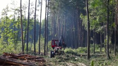 Makinenin işletimi odun kesmek, üretim için kereste toplamak.