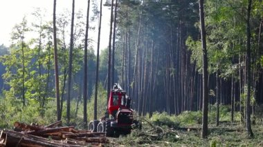 Makinenin işletimi odun kesmek, üretim için kereste toplamak.